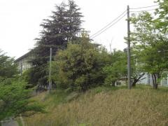 平城西小学校