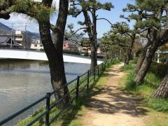 岡ノ下緑地