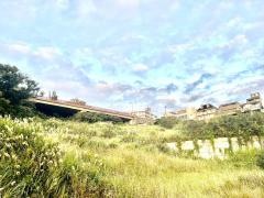 クニンドーの森公園