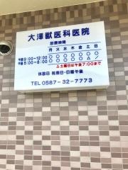 大澤獣医科医院