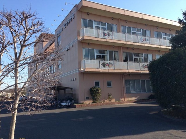 はなみずき
