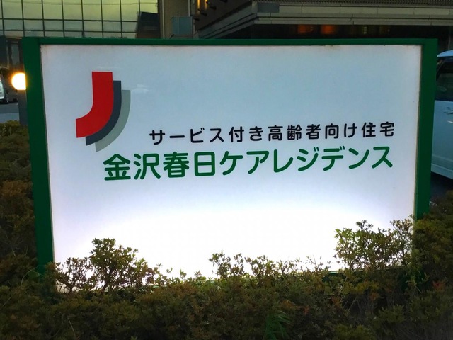 元菊