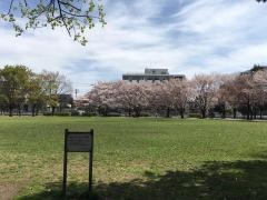 南越谷第一公園