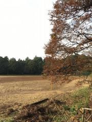 富野市営高野運動広場