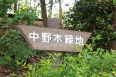 中野木緑地