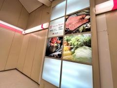 東急ストア　町田店