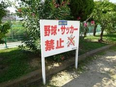 高柳栄町公園