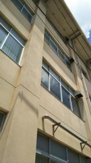 福田小学校