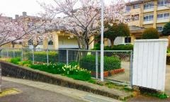 諫早市立明峰中学校