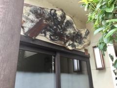 ど井鉄板焼