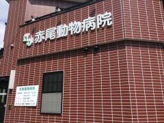 赤尾動物病院