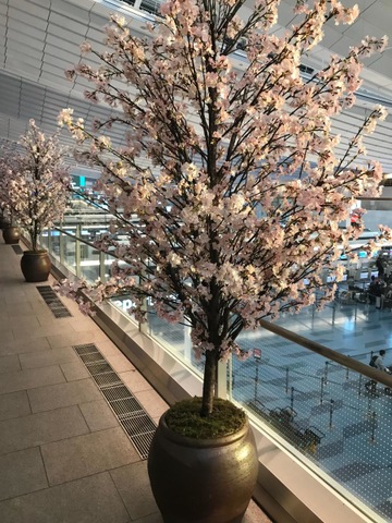施設写真31