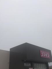 ドラッグストアコスモス　愛知川店