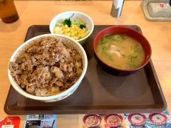 すき家　463号ＢＰ所沢上新井店