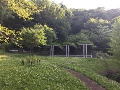 伏見東緑地