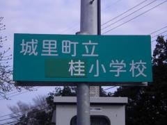 桂小学校