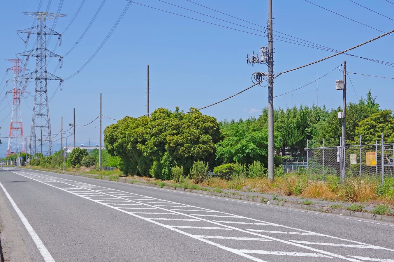 道路に沿った長い緑地