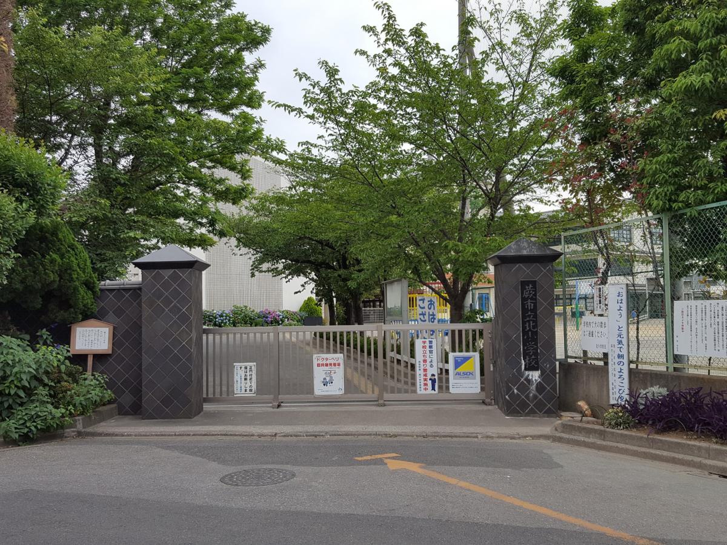 活動歴および当時の関連ビジュアル記録