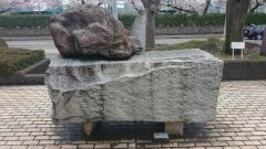 福井県立美術館