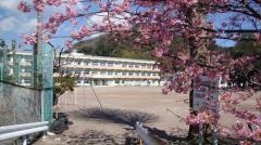 河津町立南小学校