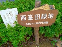 西峯田緑地