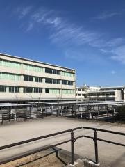 鈴鹿高等学校