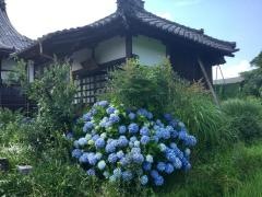 大善寺