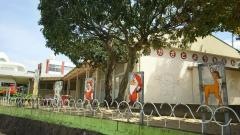 中里幼稚園