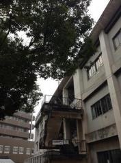 大分歯科専門学校