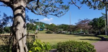 宮城公園