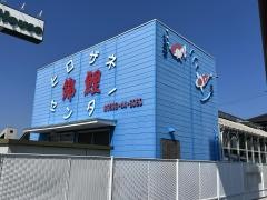 ヒロザネ錦鯉センター