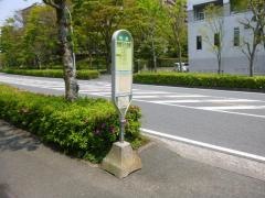 「相鉄文化会館」バス停留所