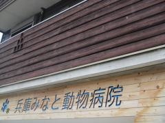 兵庫みなと動物病院