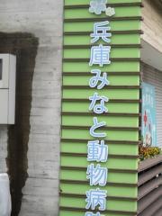兵庫みなと動物病院