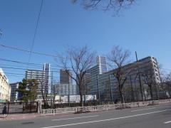 越中島小学校