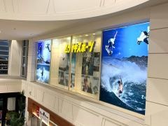 ムラサキスポーツ　イオンモール岡崎店