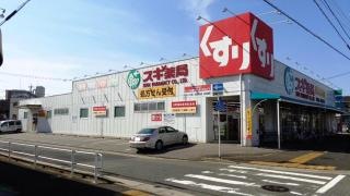 スギ薬局　宝神店