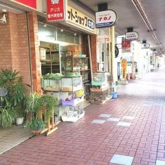 ペットショップ中野