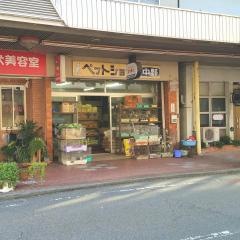 ペットショップ中野