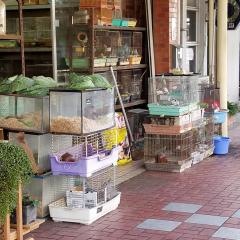 ペットショップ中野