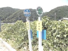 「金出地」バス停留所