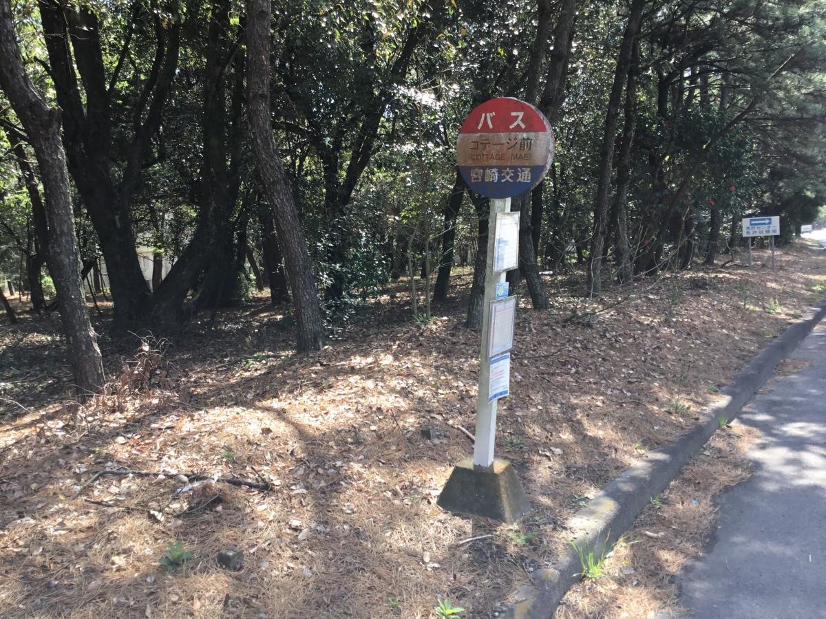 全景です｡