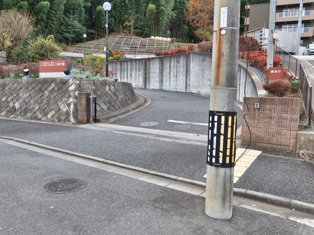 大樹の郷
