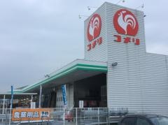 コメリハード＆グリーン　児玉店