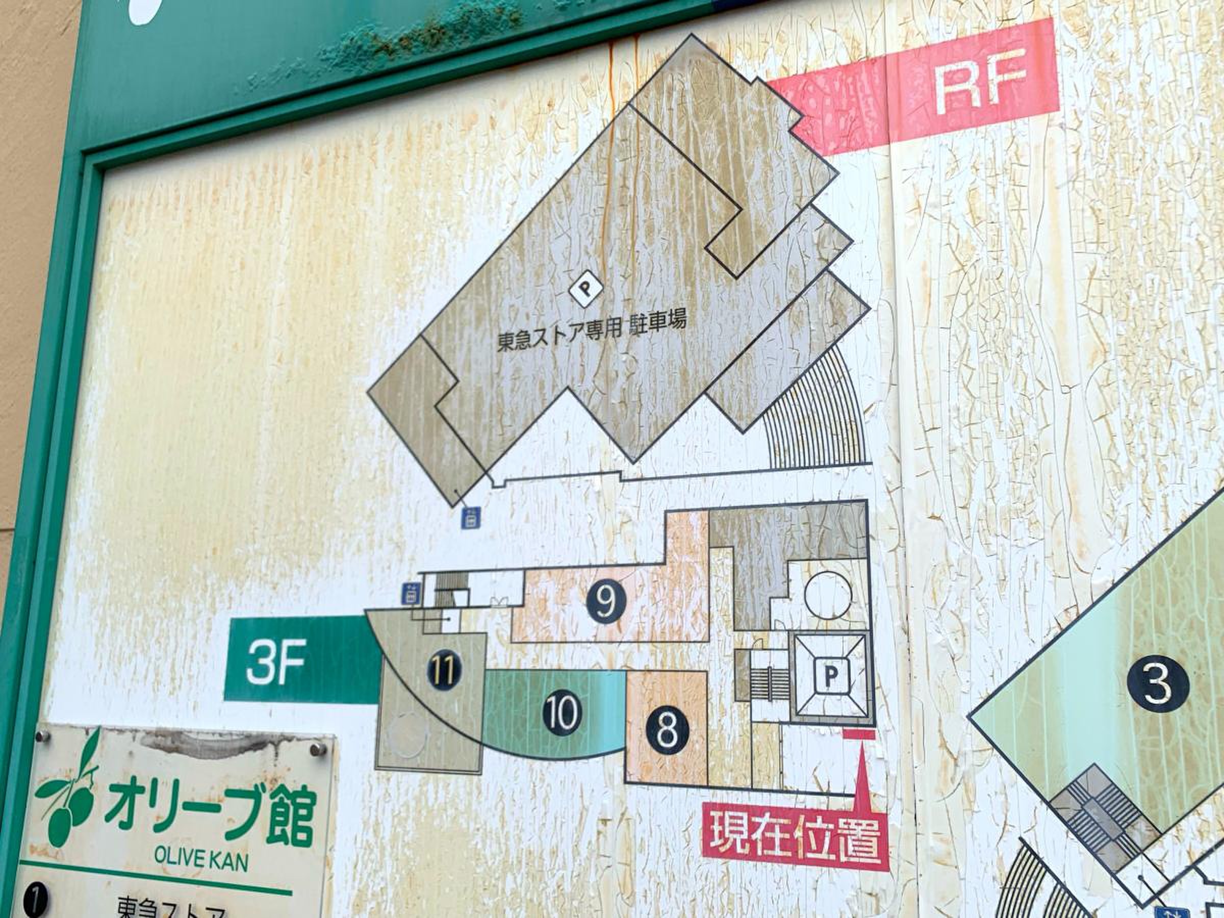 活動歴および当時の関連ビジュアル記録