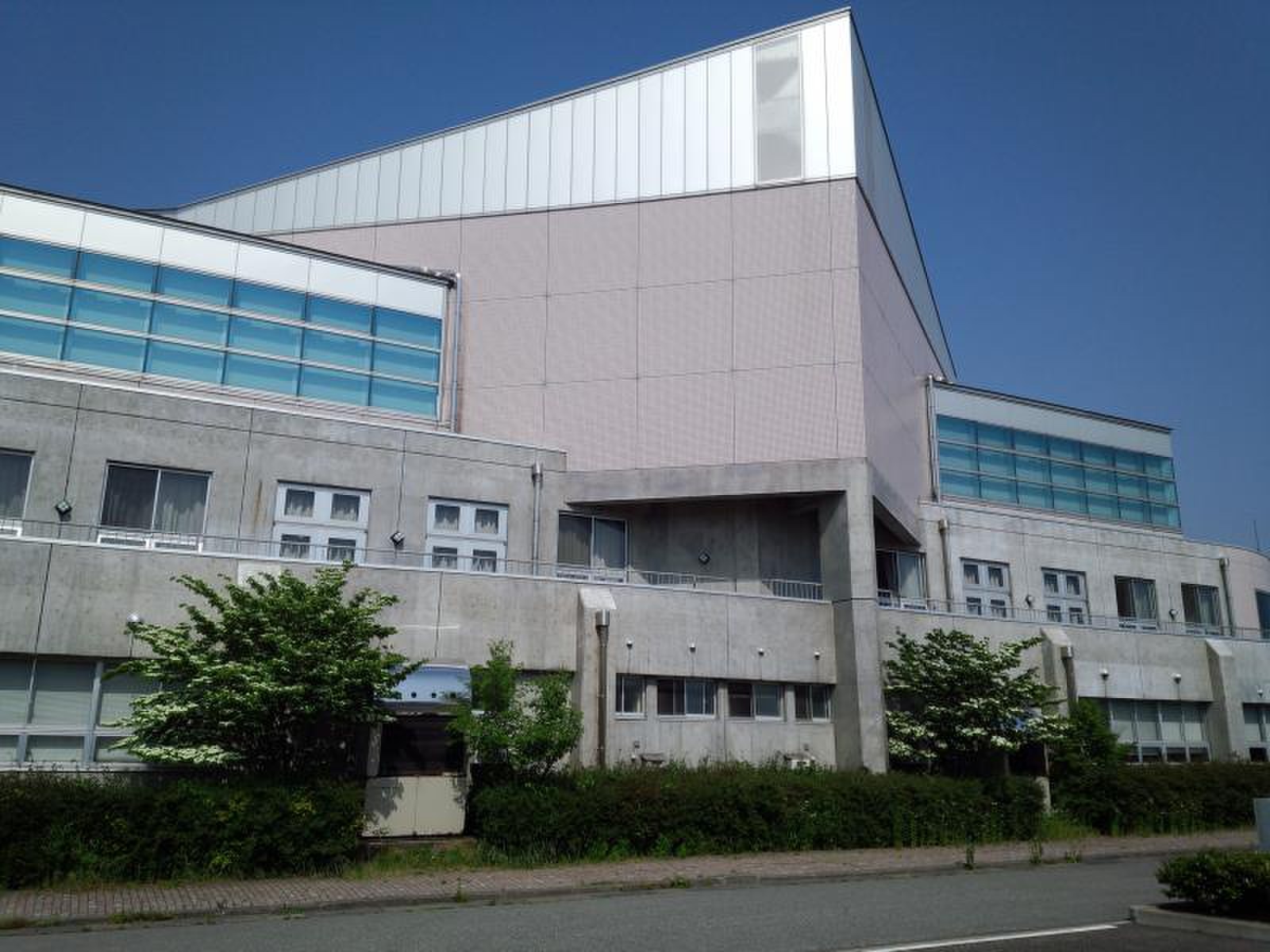 公の場での発言・インタビュー報道記録