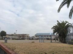 可愛小学校