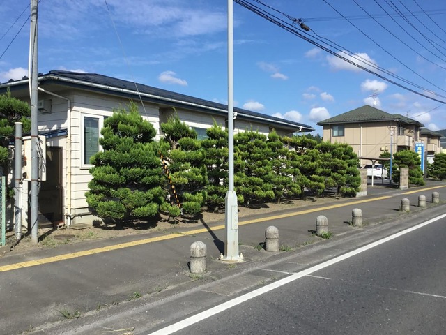 投稿写真4