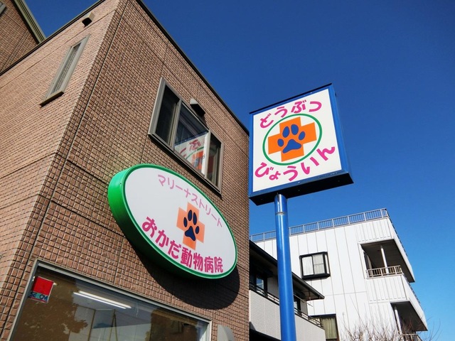 投稿写真5