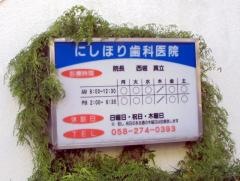 にしほり歯科医院
